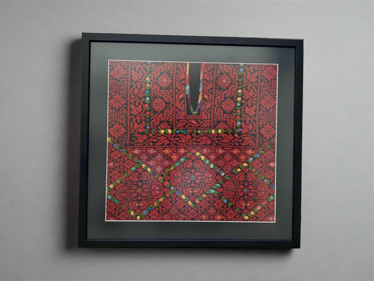 Unique Vintage Palestinian Thobe Framed