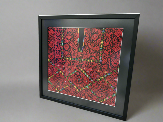 Unique Vintage Palestinian Thobe Framed